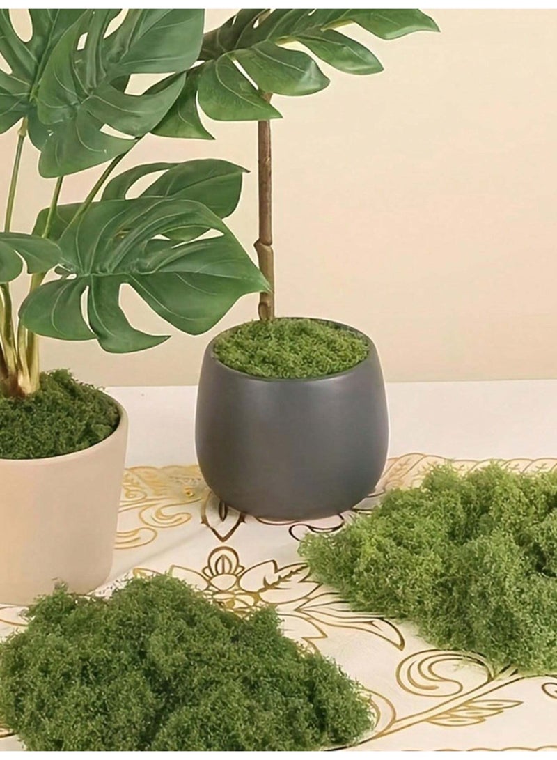 محاكاة موس ، موس الاصطناعي بيونيك الاصطناعي موس ، موس الأخضر الصغير زخرفة المناظر الطبيعية ، ديي الحديقة بوعاء النباتات تزيين المناظر الطبيعية ، في الهواء الطلق حديقة الديكور - Image 4